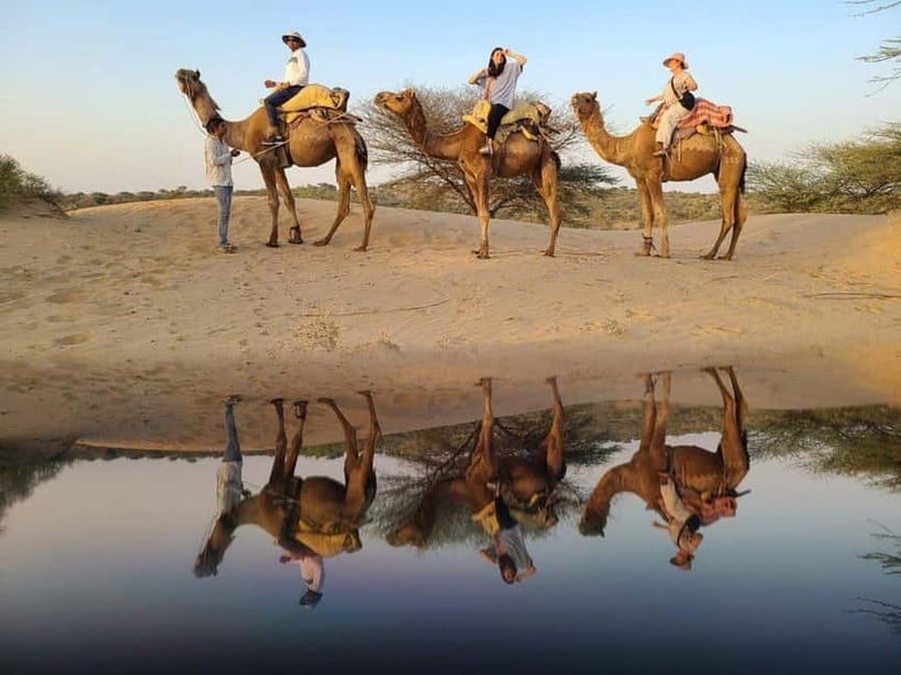 Jodhpur: Overnight Stay in Desert with Camel Safari - Should You Book This Jodhpur Desert Overnight?