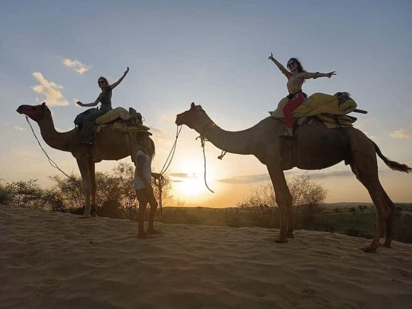 Jodhpur: Overnight Stay in Desert with Camel Safari - Camel Safari at Sunset, and Why the Timing Feels Like Magic