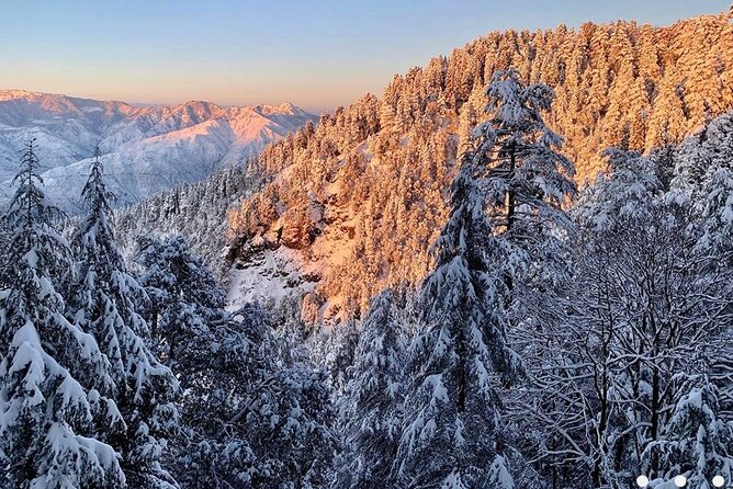 Kaflani Day Hike - Mussoorie - Where the Kaflani Day Hike fits around Mussoorie and Landour