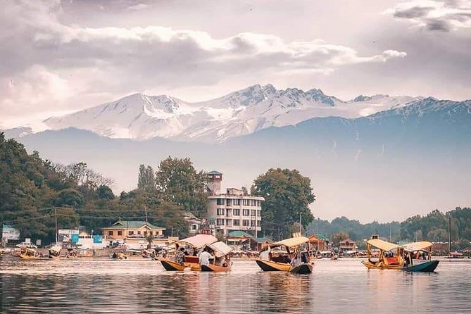 Kashmir Family Tour - 07 Days Includes Accommodation and Private Transport - Hotels and Breakfast: What the Package Actually Gives You