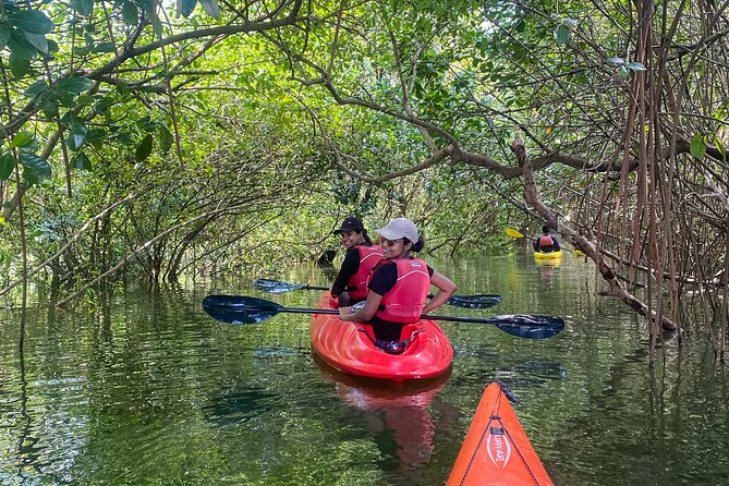 Kayaking in Mangrove Forest of Paravur Backwaters near Varkala and Kollam - Where you meet and what to do first at Syzygy