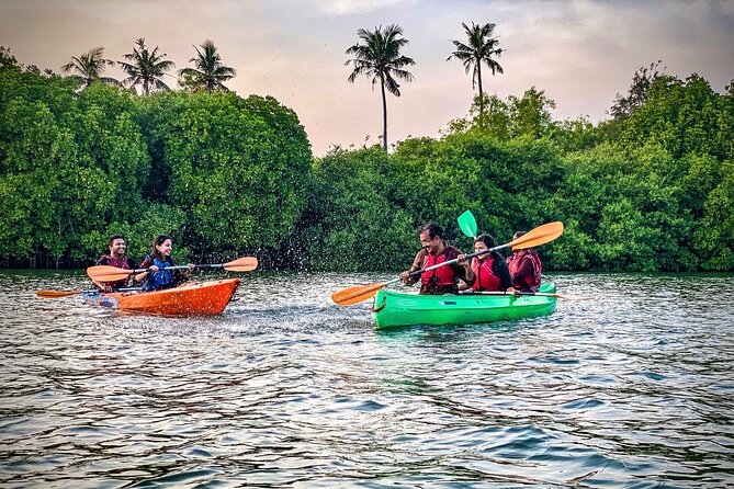 Kayaking in Mangrove Forest of Paravur Backwaters near Varkala and Kollam - Who this trip suits best (and who should think twice)