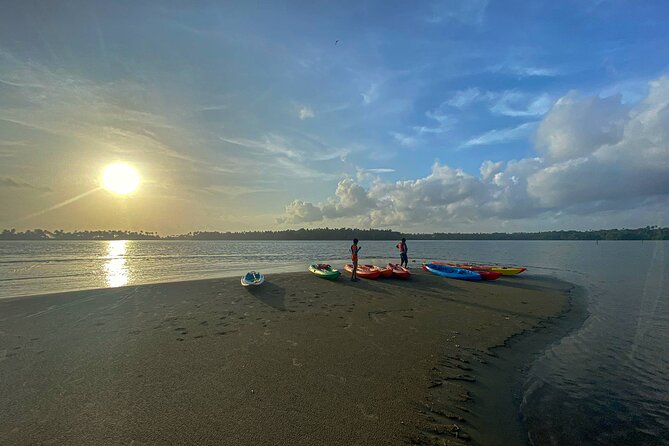 Kayaking in Mangrove Forest of Paravur Backwaters near Varkala and Kollam - Price and how to judge if it’s good value