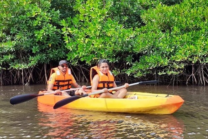 Kayaking Mangrove Adventure at Havelock - Kayaking Mangroves Without Turning It Into an All-Day Project