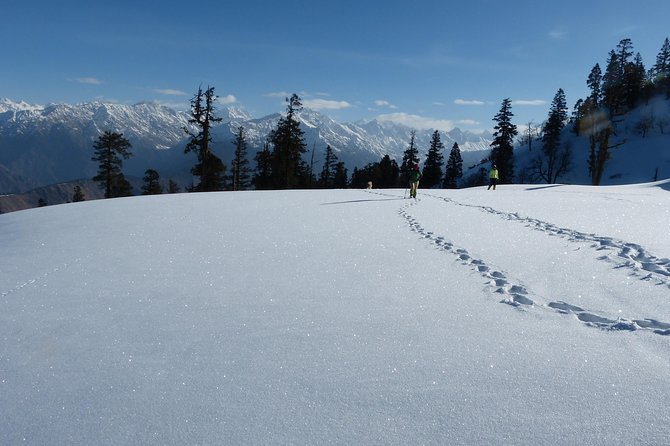 Kedarkantha Trek - Price and value: why $235 can work for the right traveler