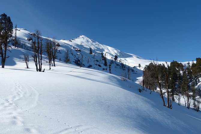 Kedarkantha Trek - Juda to base camp, pine and oak trails with time to acclimatize