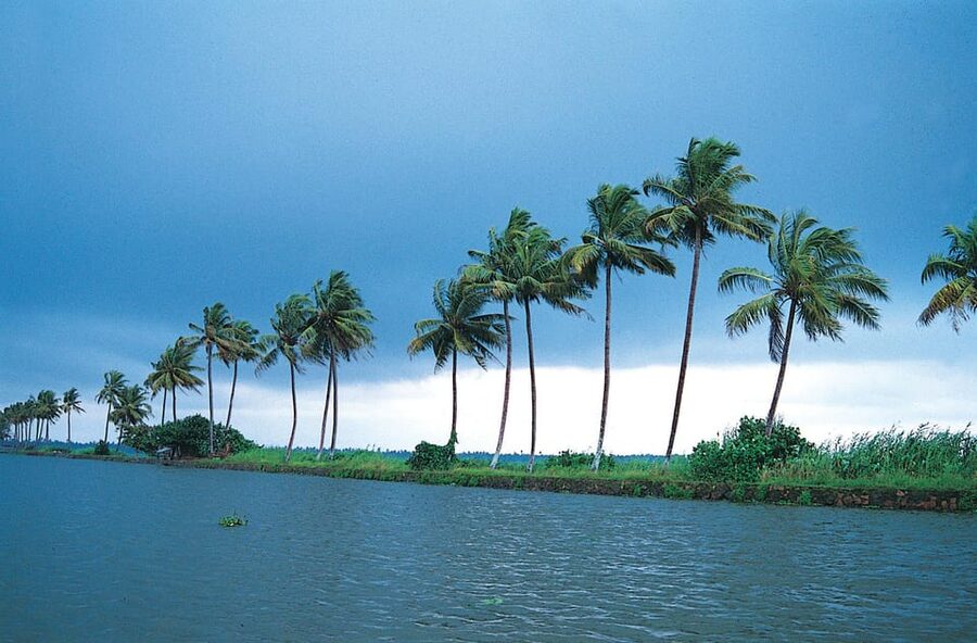 Kerala: Alappuzha River Cruise with Village Walk - A private shikara in Alappuzha is the calm version of backwaters