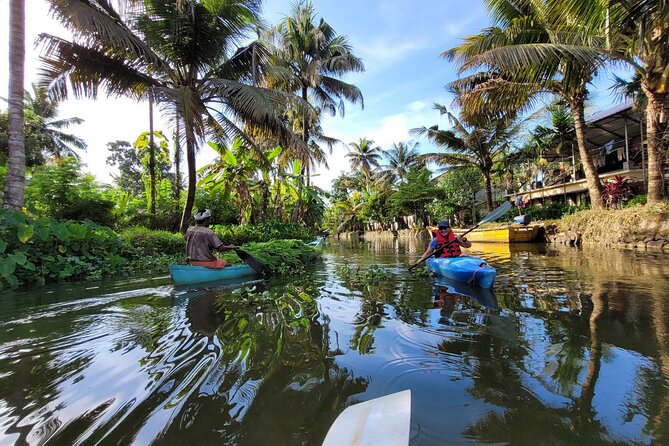 Kerala Backwater Village Kayaking Tour: Alleppey - Stop 1: Chennamkary’s Paddy Canals, Flora, and the Walk-or-Paddle Choice