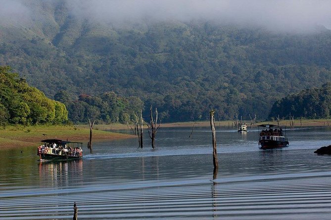Kerala premium private tour for 7 nights 8 days with houseboat - How the private format keeps things smooth