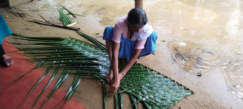 Kochi: Backwater Exploration in Village: Free Pickup & Drop - Bamboo-Pole Shikara Backwaters: The Part That Feels Like Kerala