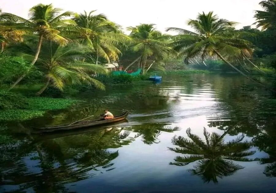 Kochi: Backwater Exploration in Village: Free Pickup & Drop - Who This Tour Suits Best, and Who Should Skip It