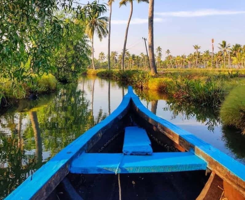 Kochi: Backwater Exploration in Village: Free Pickup & Drop - Choosing Your Boat Experience: Shikara, Gondola Style, and Country Boat Canals