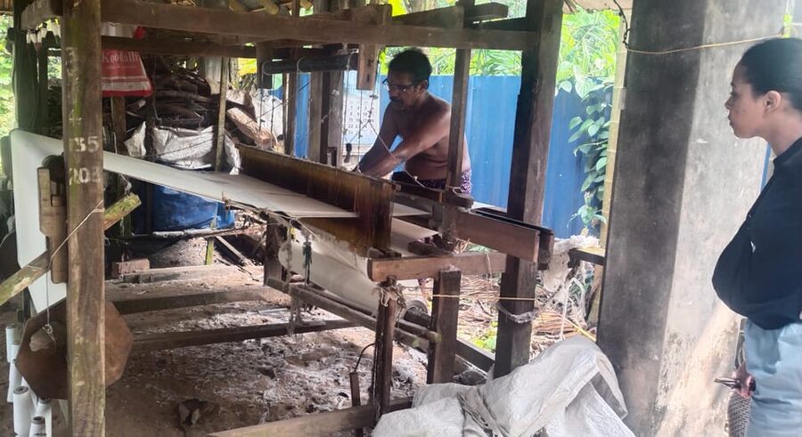 Kochi: Backwater Exploration in Village: Free Pickup & Drop - After Lunch Cruising: Narrow Canal Time on an Open Country Boat