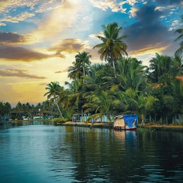 Kochi: Backwater Exploration in Village: Free Pickup & Drop - Price and Value: What $63 Buys (and What It Does Not)