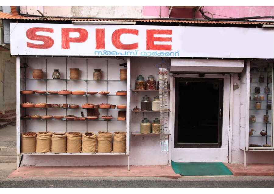 Kochi: Jewish Town Guided Walking Experience - Price and value: is $14 fair for 2 hours?