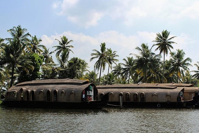 Kochi Private Tour: Overnight Alleppey Backwaters Houseboat Cruise - Inside the deluxe houseboat: comfort, AC limits, and what standstill means