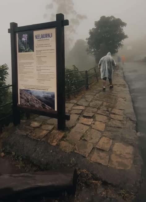 Kochi to Munnar: Eravikulam, lockhart & Waterfalls day tour - Eravikulam National Park trek: Nilgiri Tahr spotting and wildlife rules