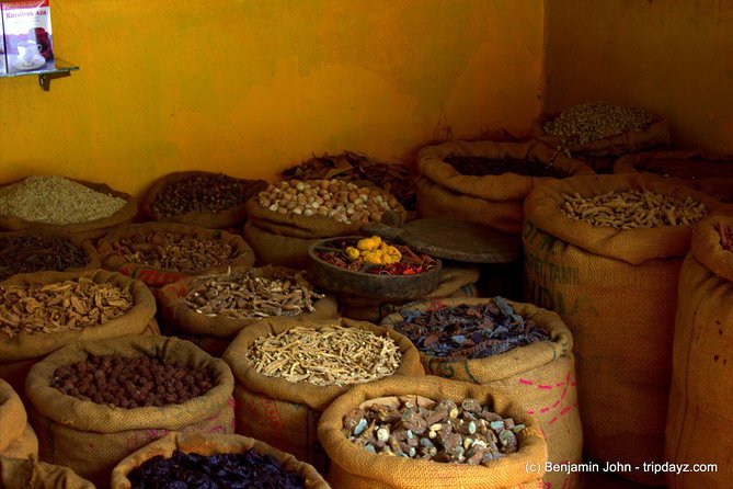 Kochi Tour Guide -A Heritage walking tour in Fort kochi and Mattancherry ! - Price and value check: where $15 works well