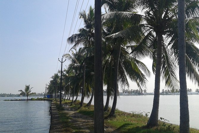 Kochi Village Life Experience tour - The Real Tour of Kochi ! - Key Highlights You Can Actually Use