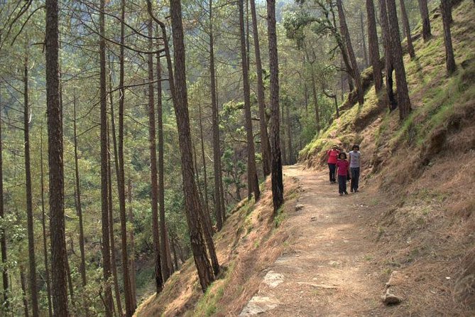 Kumaon/Binsar Sanctuary Walking Holiday - Sunrise Walk at the Village Temple and the 270 km View