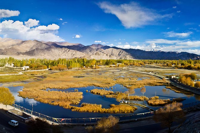 Ladakh 5-Star Premium Tour 7 Days - Key highlights worth your attention