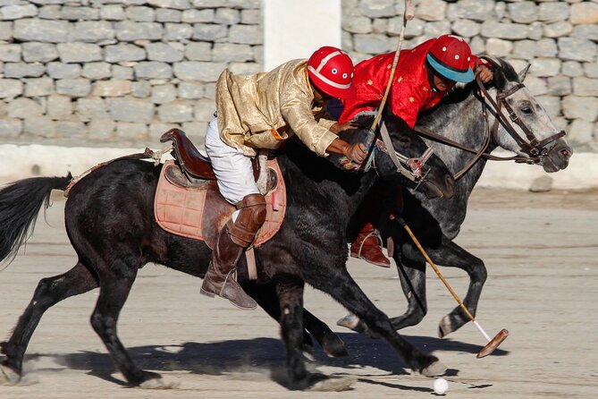 Ladakh 5-Star Premium Tour 7 Days - Day 1 in Leh: acclimatize, then gently ease into the old town