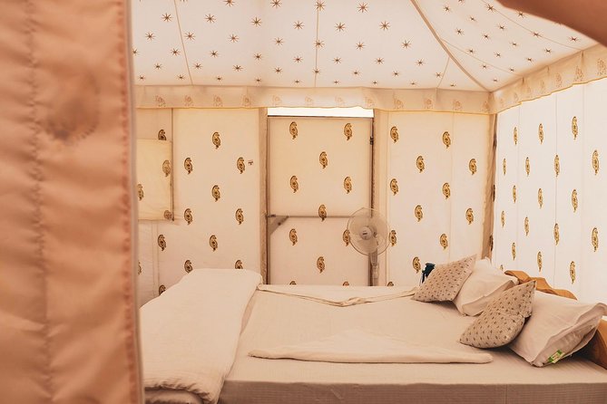 Luxury Overnight Camping Jaisalmer - 2:00 pm pickup to the Thar dunes, how the timing really feels