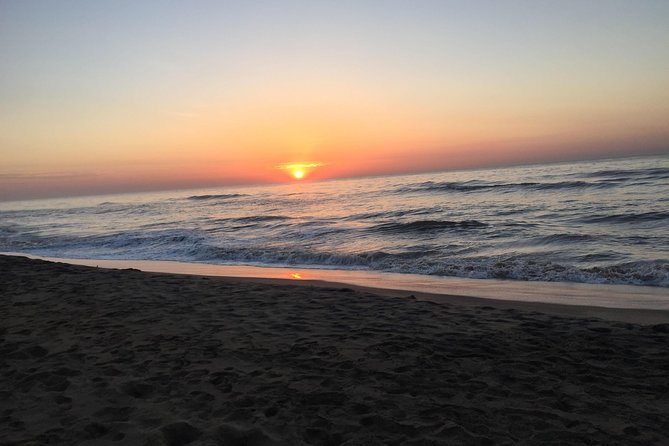 Mahabalipuram Temple and Beach Day Tour from Chennai - Price and what you really get for $60