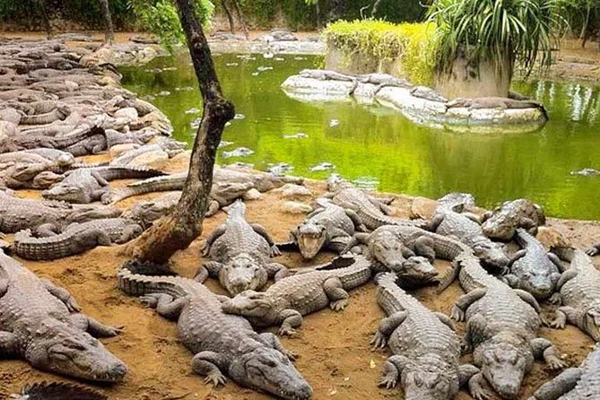 Mahabalipuram walking tour by certified travel company - Mahabalipuram in a few hours, without the travel fatigue