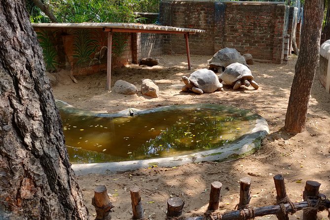 Mahabalipuram walking tour by certified travel company - Walk or rickshaw style movement: how to keep it comfortable