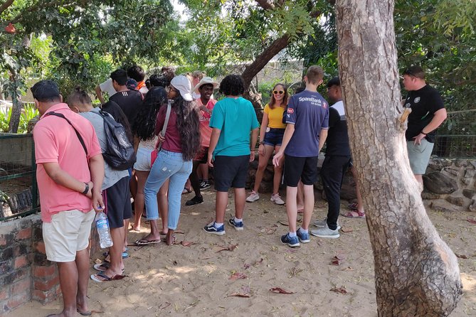 Mahabalipuram walking tour by certified travel company - Who should book this walking tour, and who might not