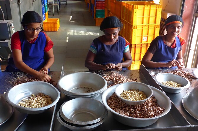 Mangaluru Shore Excursion - Full Day Private Mangaluru Guided City Tour - Port-to-temple pace, and how the day actually works