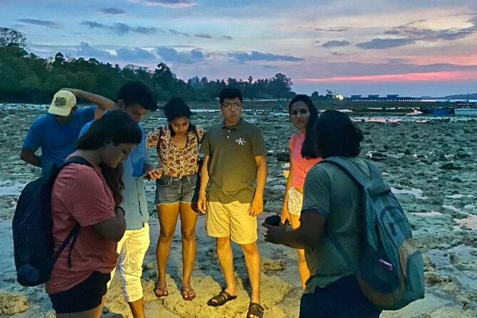 Marine Trail - Key moments that make this tour worth it
