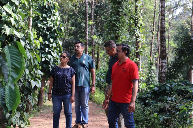 Mercara Gold Coorg Coffee and Spice Estate Tour - First Stop in Coorg: Mercara Gold Estate Near Madikeri