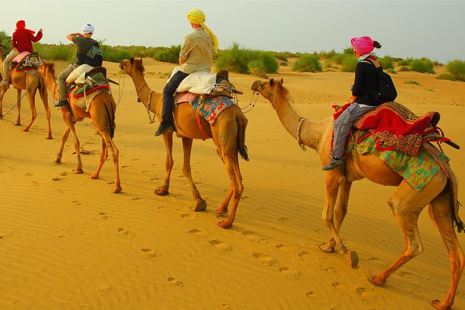 Midnight Mirage Experience (Non Touristic) - Key Things I’d Watch for Before Booking