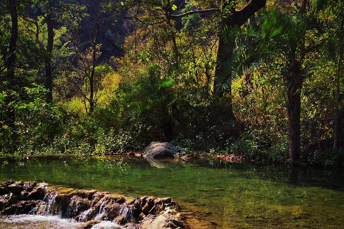 Moderate Himalayan Treks Near Rishikesh From Delhi - Key highlights you should care about