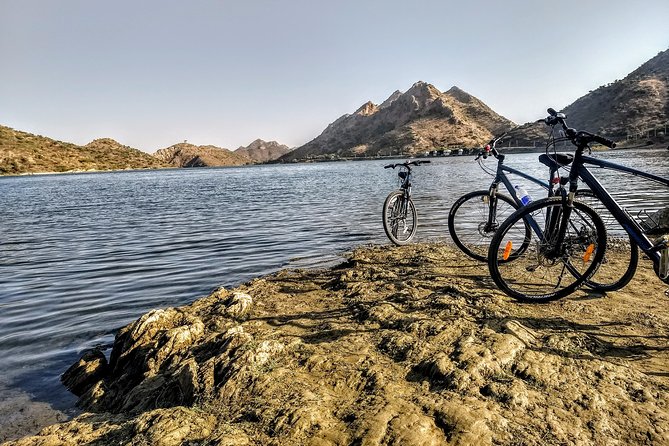 Morning Bike Tour of Udaipur - Getting your wheels: bikes, helmets, and a guide-led pace