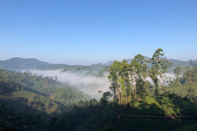 Mountain Hiking in Munnar (half day) By Munnar Info - Tea garden ridge hike in Munnar, the half-day that fits real schedules