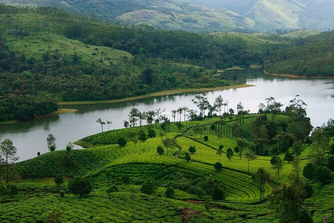 Multi Day Private Guided Tour of Kerala from Kochi by Car - Day 3: the Kochi to Thekkady drive that sets up your safari day