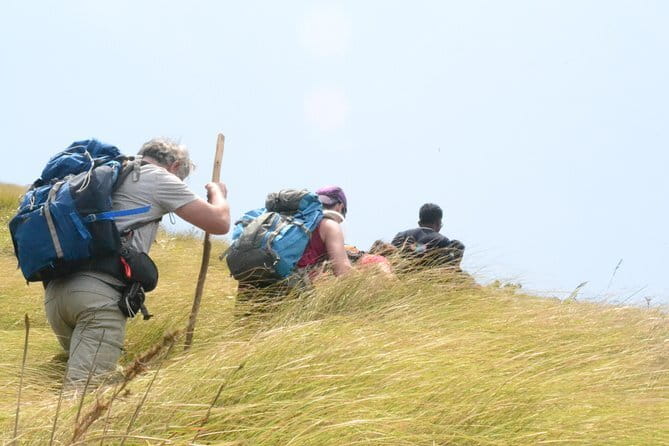 Multi Day Private Guided Tour of Kerala from Kochi by Car - Day 4 at Periyar National Park plus Abraham’s Spice Garden