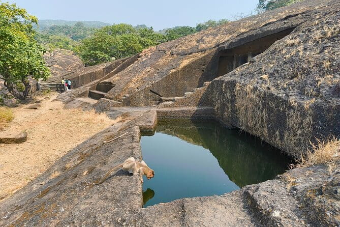 Mumbai Kanheri Caves & Golden Pagoda – A Buddhist Settlement - Price and Value: What $34.04 Buys You
