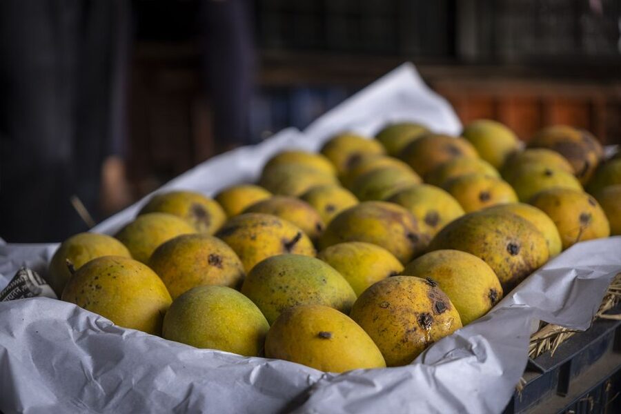 Mumbai: Local Markets & Temples Tour - Crawford Market: wholesale life in fruit, vegetables, and meat