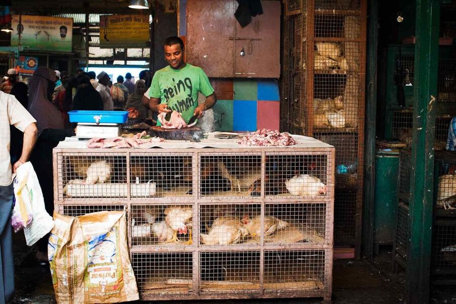 Mumbai: Local Transport & Dabbawallah Tour - Black-and-yellow taxi hops: why they use them