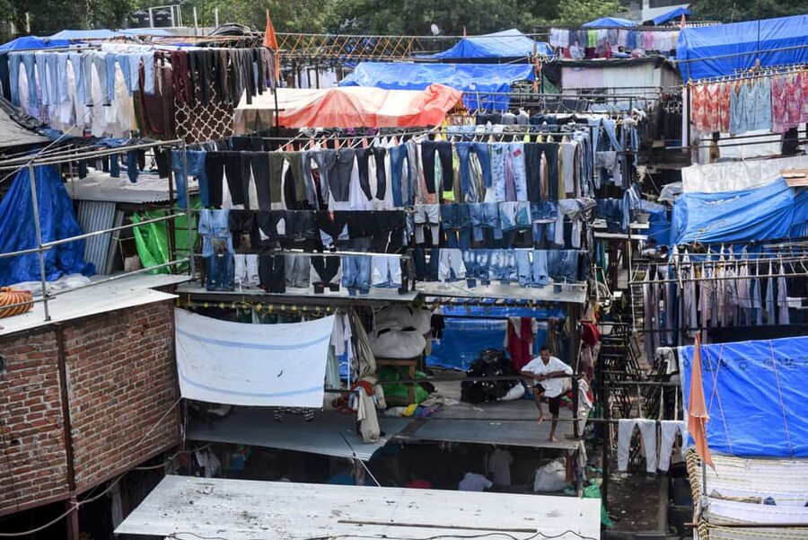 Mumbai Morning Market Tour of Flowers, Fish, and More - Price and value: $19 feels fair when you add up the basics
