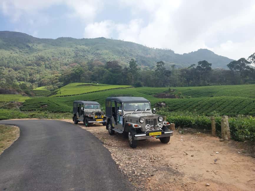 Munnar: Anakulam Jeep Safari with Waterfall and Elephant - Munnar by Jeep: Why the Off-Road Style Fits Elephant Country