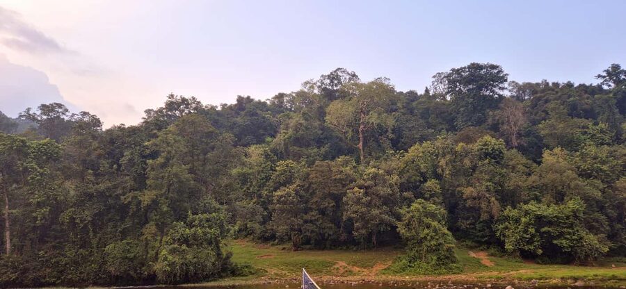 Munnar: Anakulam Jeep Safari with Waterfall and Elephant - Anakulam Wild Elephant Viewpoint: Elephant Watching Is Real, But Luck Plays a Role