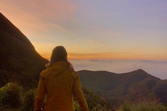 Munnar Daily Tour - Key highlights I’d circle before you book