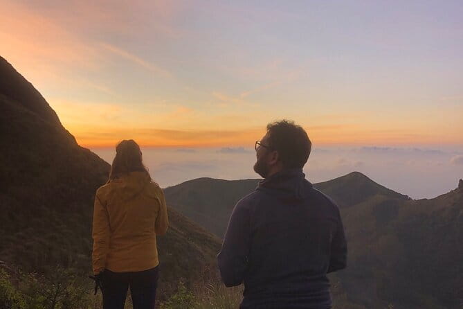 Munnar Daily Tour - Day 1 at Top Station: tea plantations, boating, viewpoints, then base camp dinner