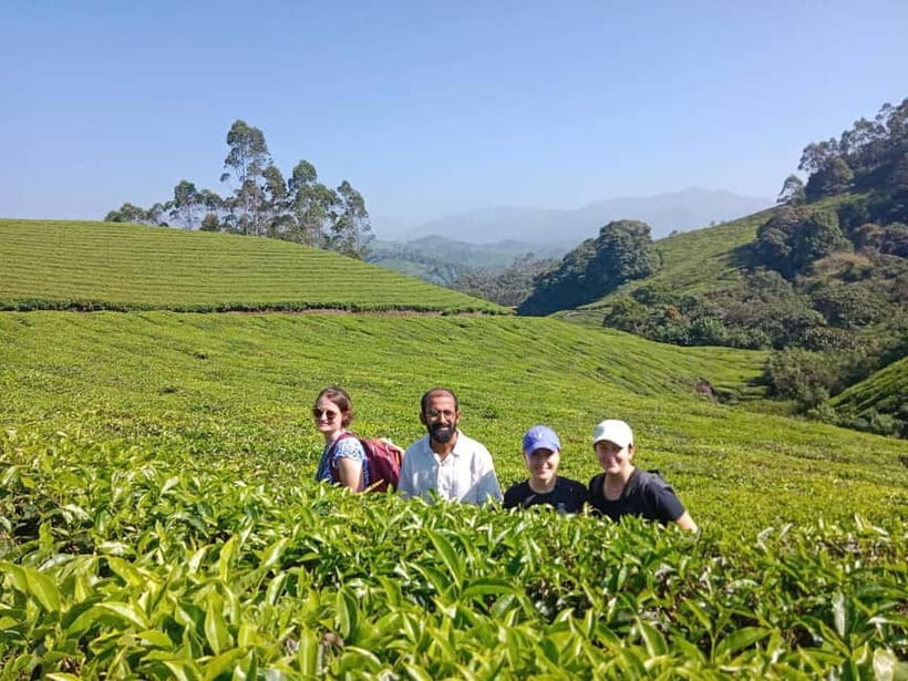 Munnar: Half day Guided Trek - Lekshmi Hills trek in Munnar: tea country views with a real guide