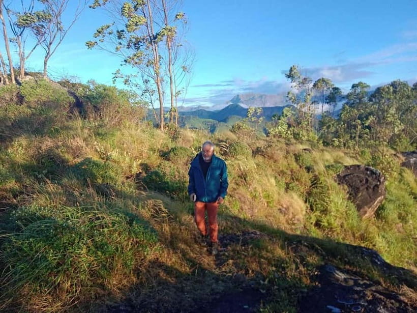 Munnar: Half day Guided Trek - What you’ll do in 4 hours, step by step